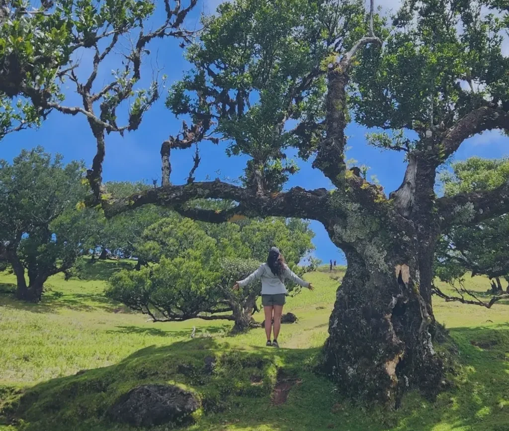 Vania Chopra Psychotherapist